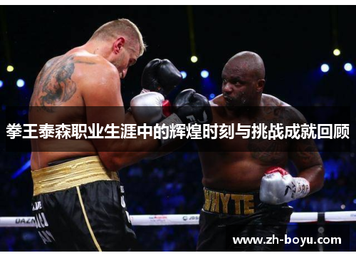 拳王泰森职业生涯中的辉煌时刻与挑战成就回顾